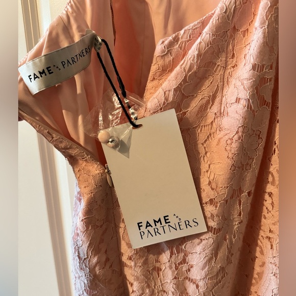 NEW Fame and Partners The Babe Dress Gown Lace Pink Size US 2 NWT - Picture 7 of 7